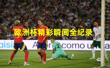 欧洲杯精彩瞬间全纪录