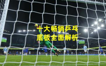 十大畅销乒乓底板全面解析