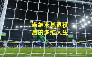 诺维茨基退役后的多维人生