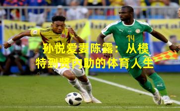 孙悦爱妻陈露：从模特到贤内助的体育人生