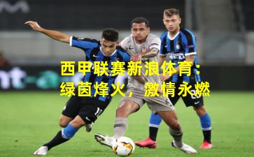 西甲联赛新浪体育:绿茵烽火,激情永燃