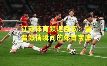 江苏体育频道回放：重温激情瞬间的体育宝库